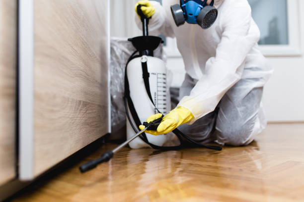 Best Best Pest Control Companies  in Orida Gulf Coast University, FL