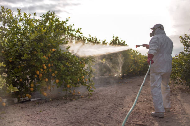 Best Pest Inspection Near Me  in Orida Gulf Coast University, FL