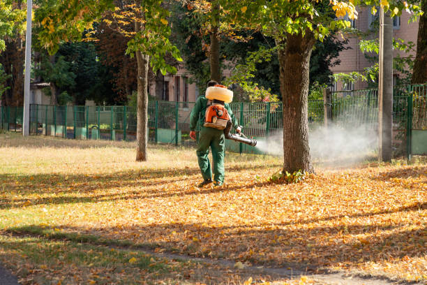 Best Local Pest Control Services  in Orida Gulf Coast University, FL