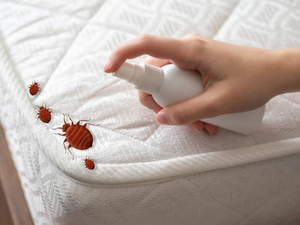 Best Flea Control Services  in Orida Gulf Coast University, FL