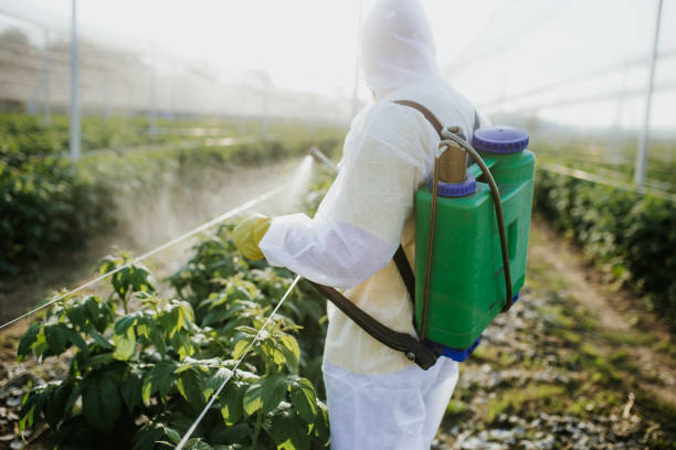 Best Best Pest Control Companies  in Orida Gulf Coast University, FL